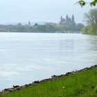 Frühlings Erwachen (6): Rhein bei Speyer