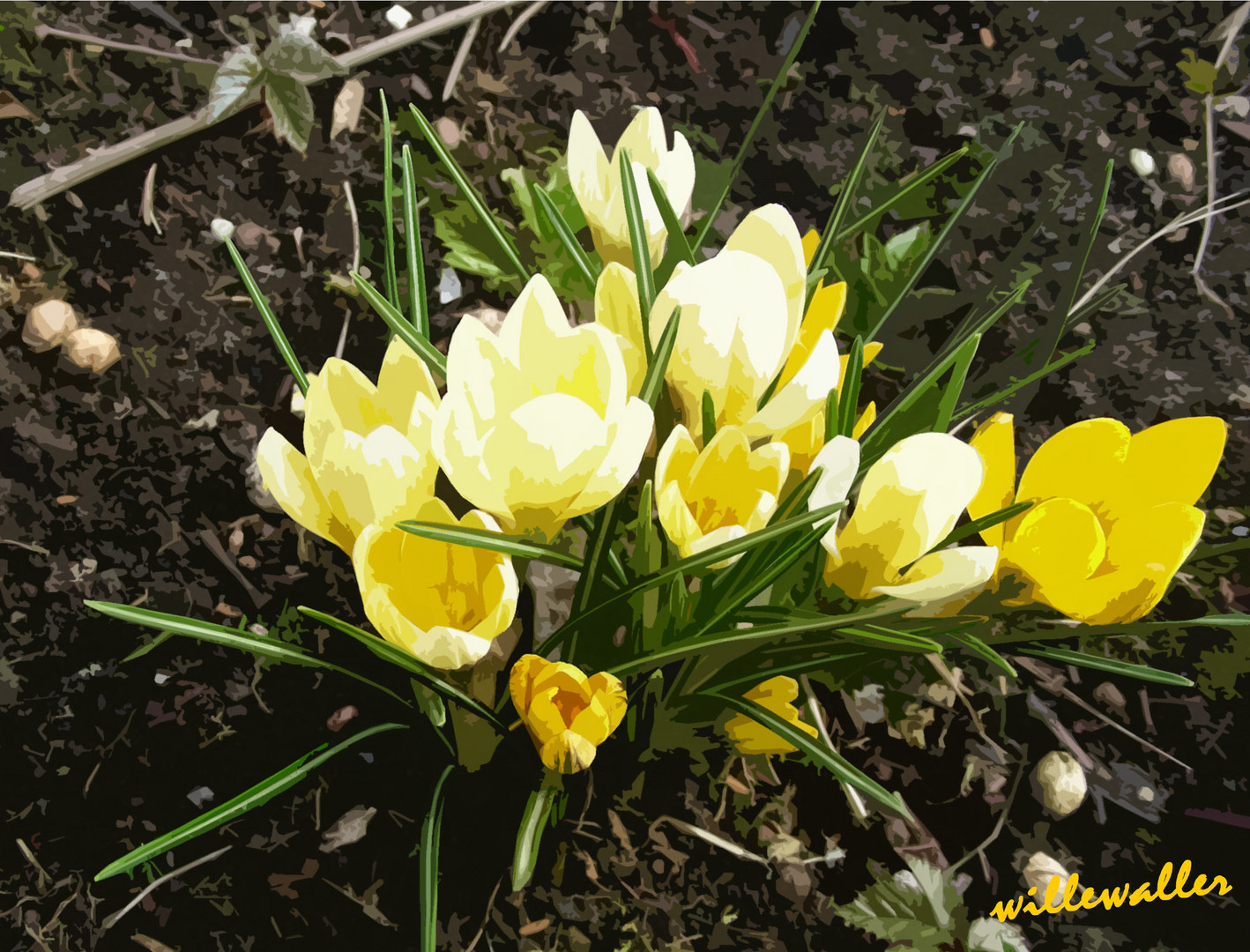 Frühlings - Erwachen