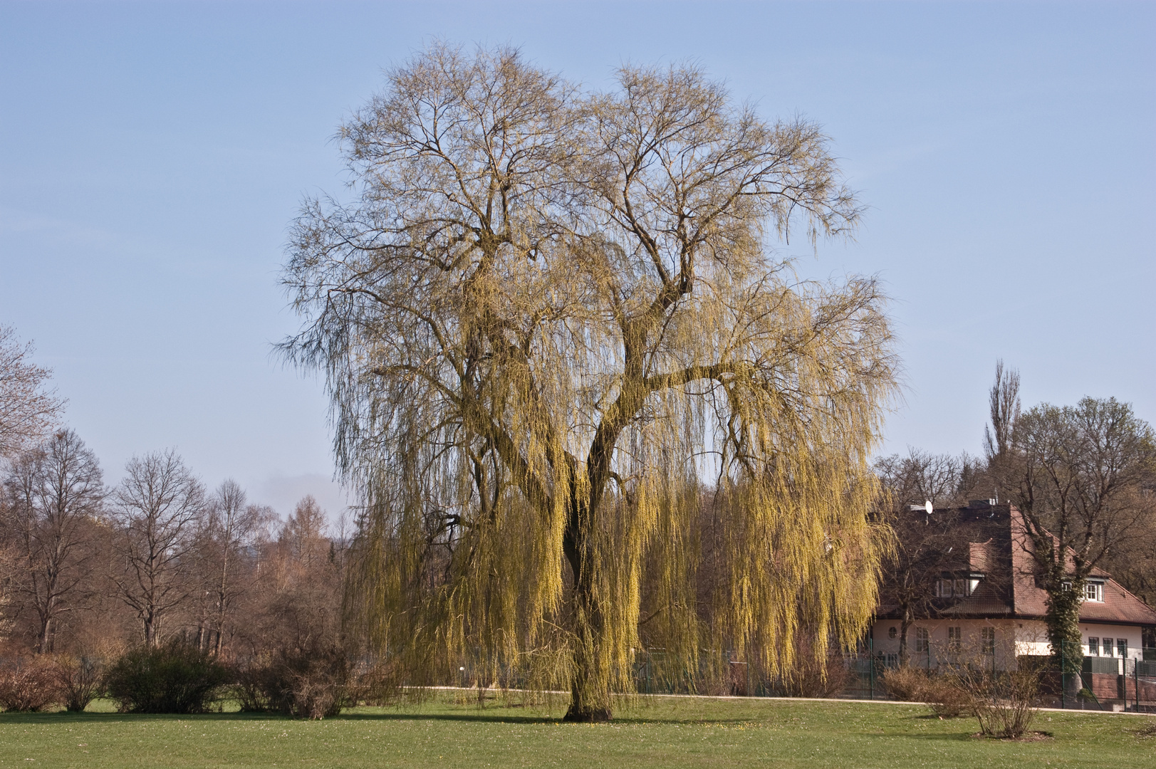 Frühlings-Erwachen