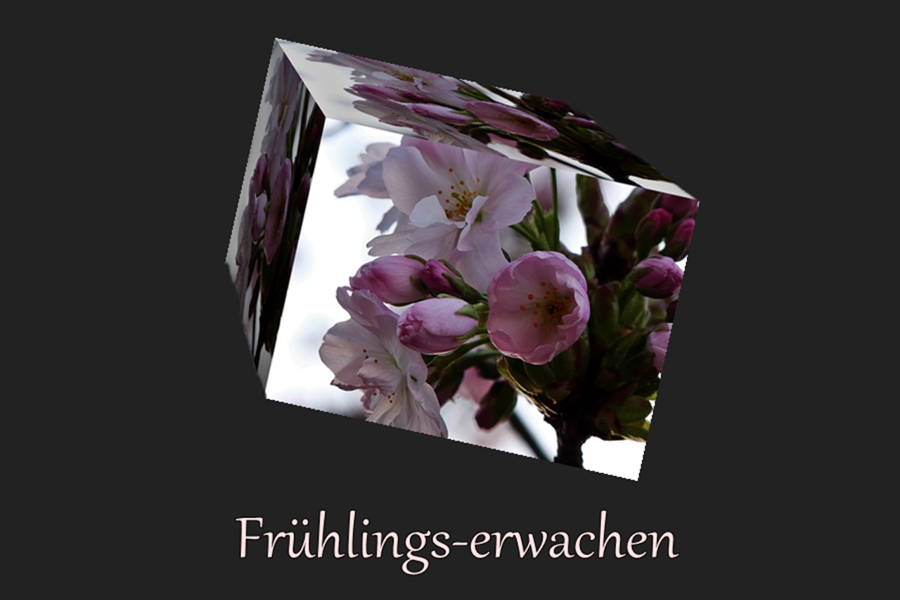 Frühlings - erwachen 