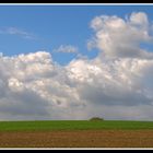 Frühlings-Farben