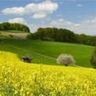 Frühlings-Farben