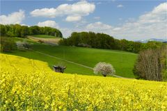 Frühlings-Farben