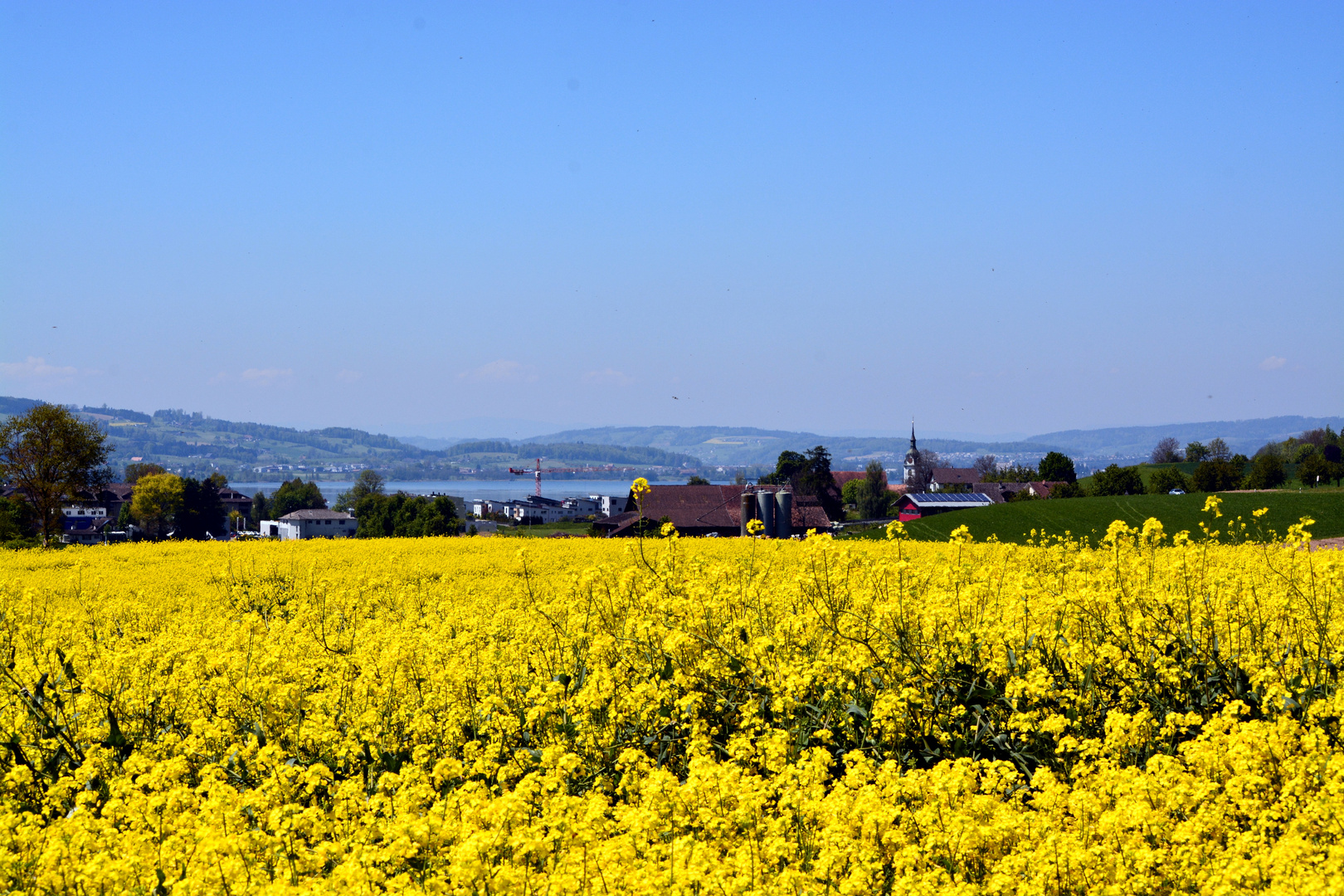 frühlings farben