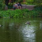 Frühlings Gefühle am Land und Wasser.