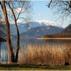 Frühlings-Idyll am Ossiacher See