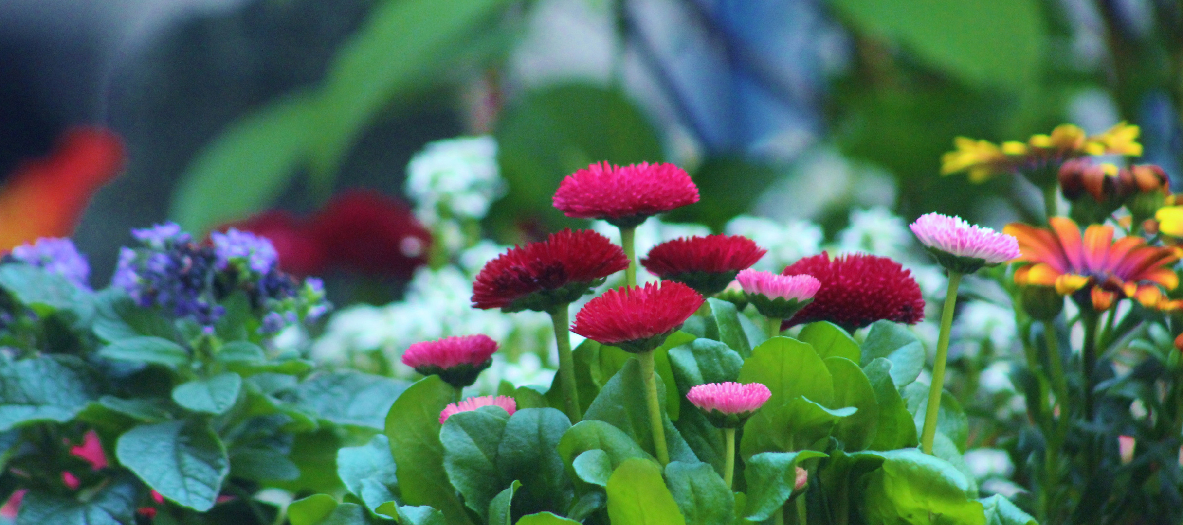 Frühlings Impressionen