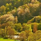 Frühlings-Impressionen 2012 - Nordhessen, Diemeltal bei Helmarshausen