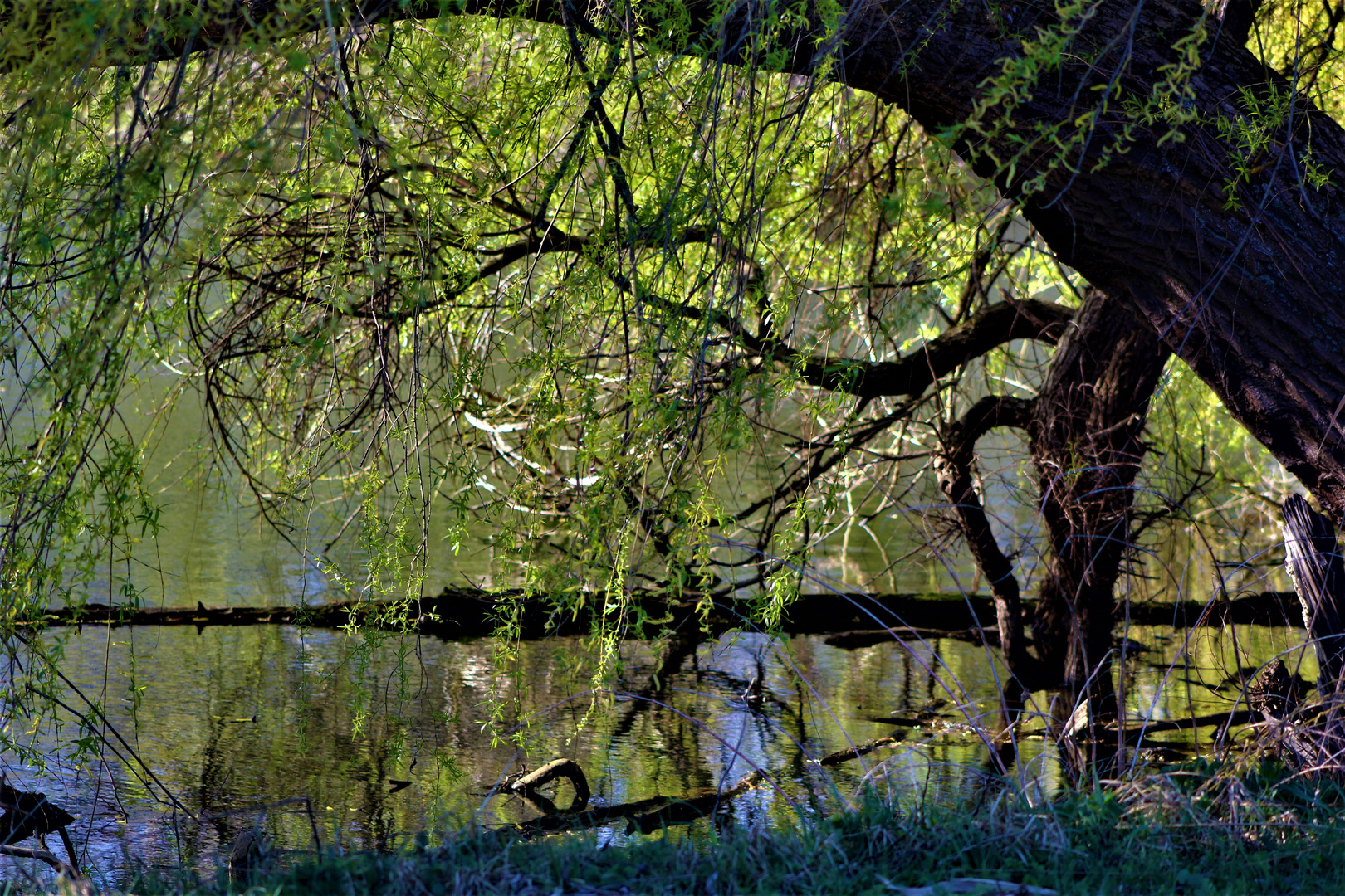  Frühlings Impressionen am See