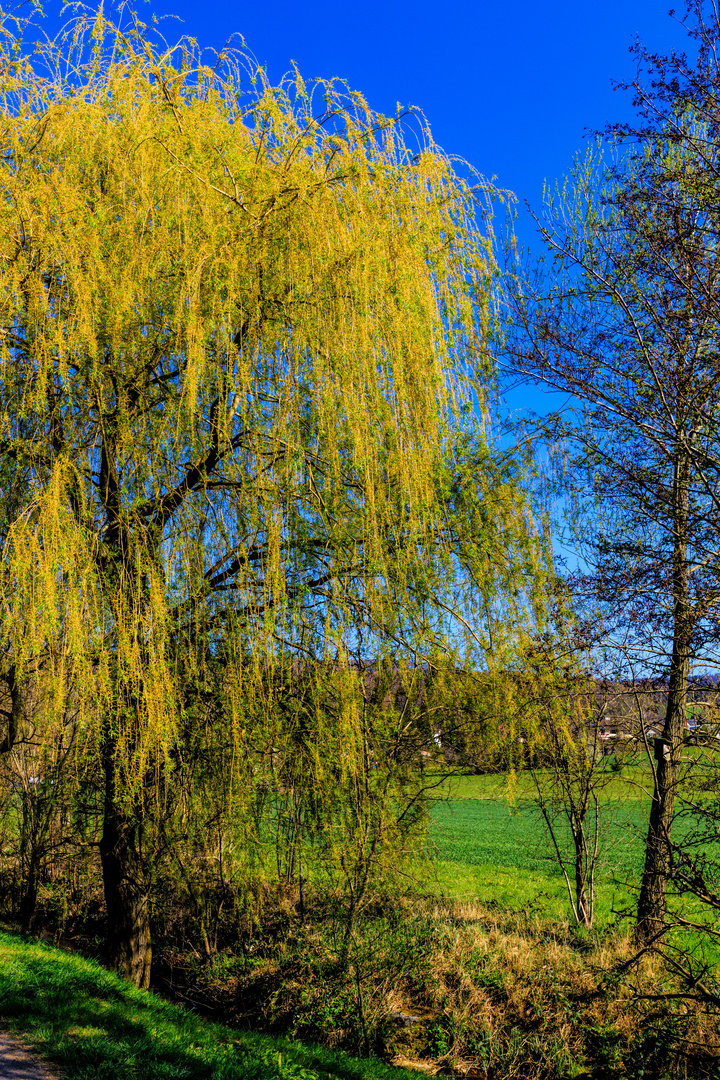 Frühlings Impressionen