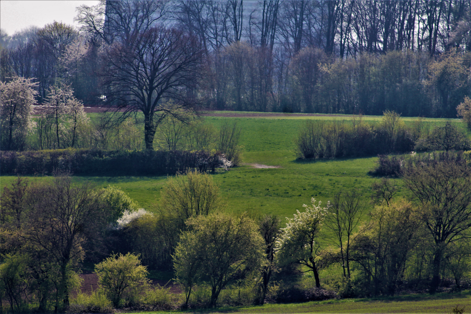 Frühlings Impressionen im Mai