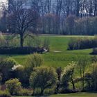 Frühlings Impressionen im Mai