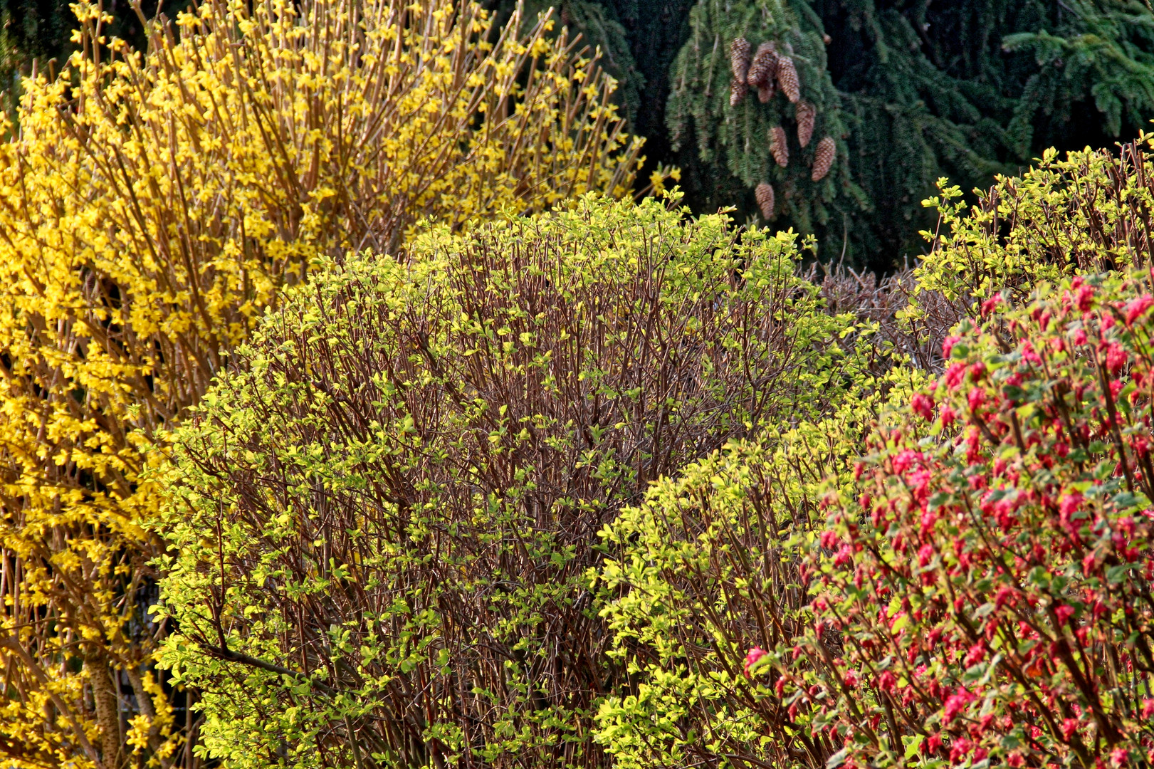 Frühlings-Klappe auf und Farben raus  -  spring flap open and colors out