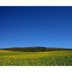 Frühlings-Lächeln einer Landschaft... (1. DER REIHE: WAS MAN MIT RAPS...)