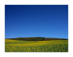 Frühlings-Lächeln einer Landschaft... (1. DER REIHE: WAS MAN MIT RAPS...)