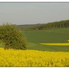 Frühlings-Landschaft