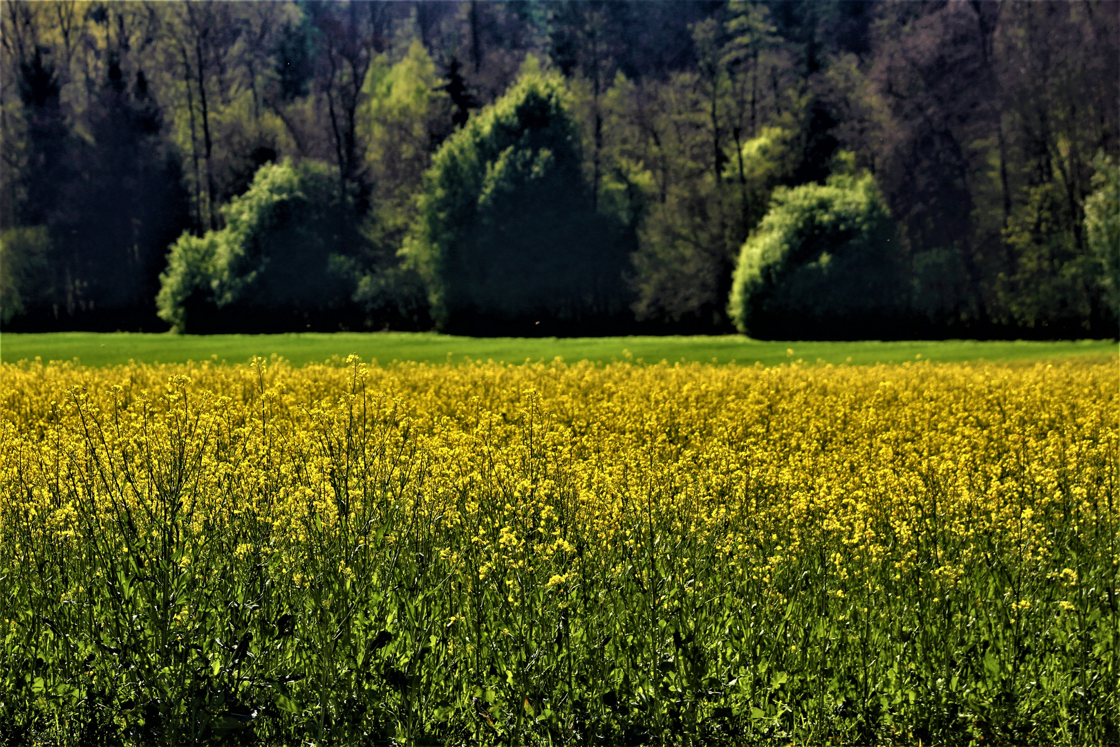 Frühlings Landschaften