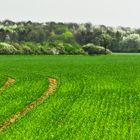 Frühlings - Panorama