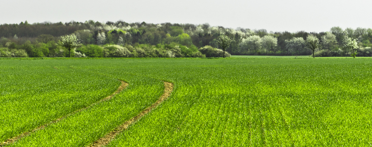 Frühlings - Panorama