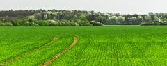 Frühlings - Panorama