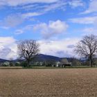 Frühlings Panorama I