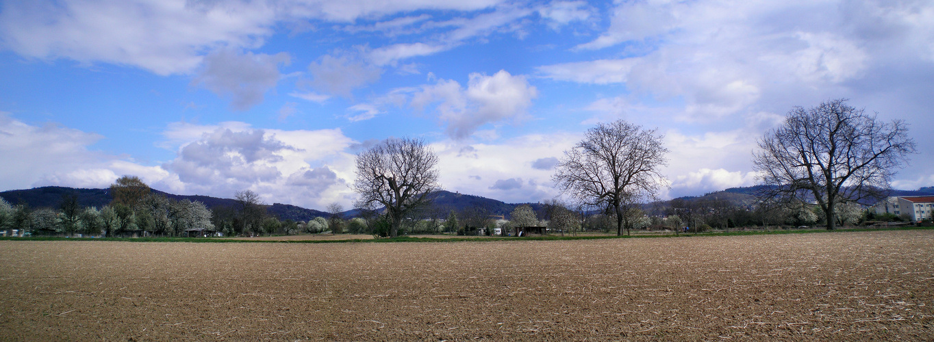 Frühlings Panorama I