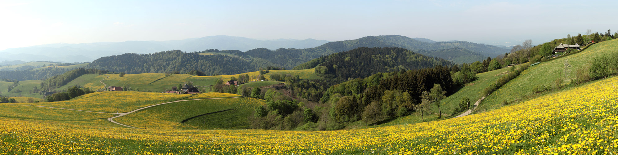 Frühlings-Panoramafoto