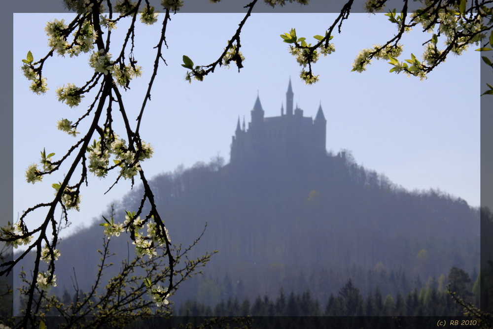 Frühlings-Perspektive Burg Hohenzollern