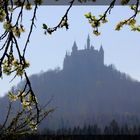 Frühlings-Perspektive Burg Hohenzollern