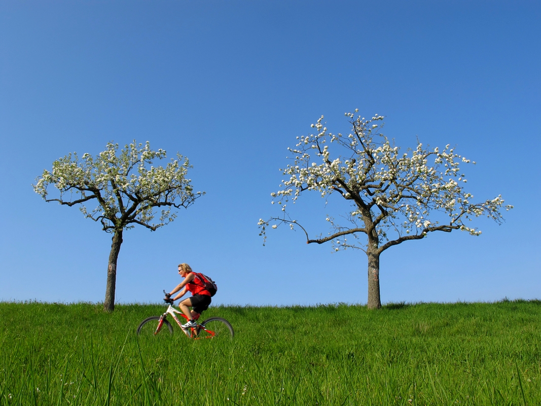 Frühlings-Radtour