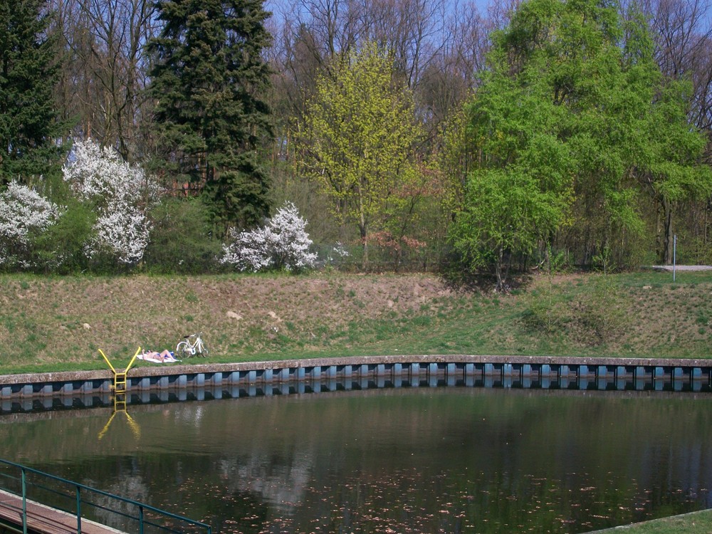 Frühlings Rausch in allen Farben Grün