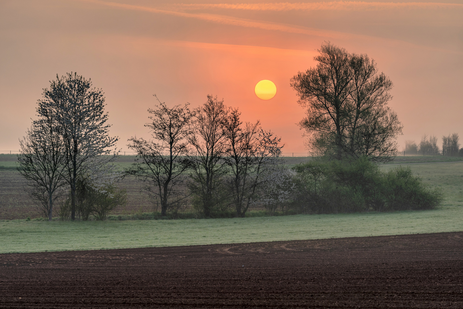 *Frühlings-Sonnenaufgang im Wittlicher Tal*