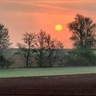 *Frühlings-Sonnenaufgang im Wittlicher Tal*