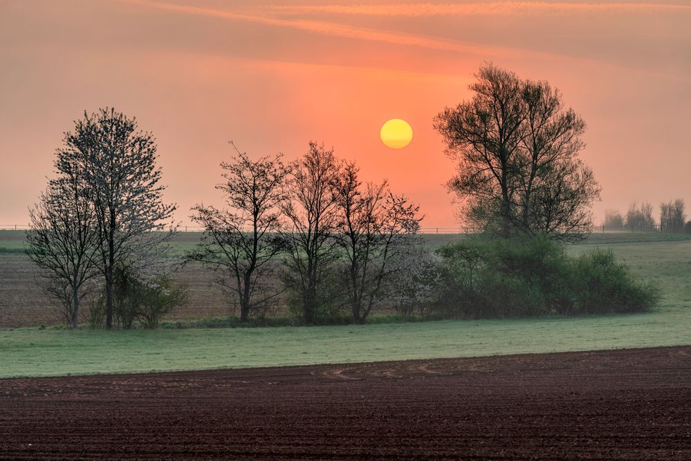 *Frühlings-Sonnenaufgang im Wittlicher Tal*