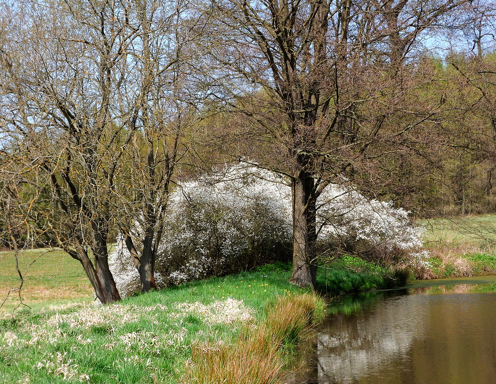 Frühlings-Sonntagsbild