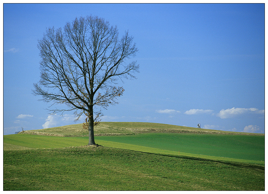 Frühlings-Spaziergang