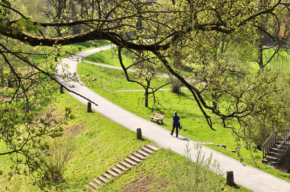 Frühlings-Spaziergang