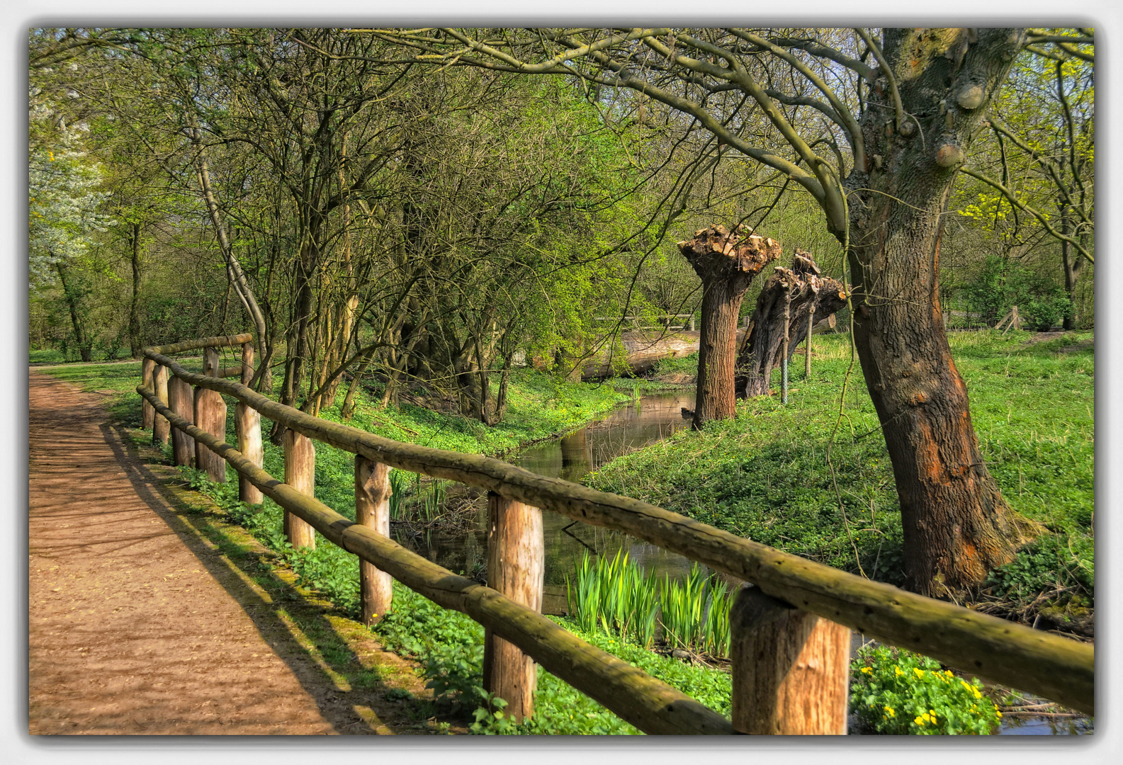 Frühlings-Spaziergang