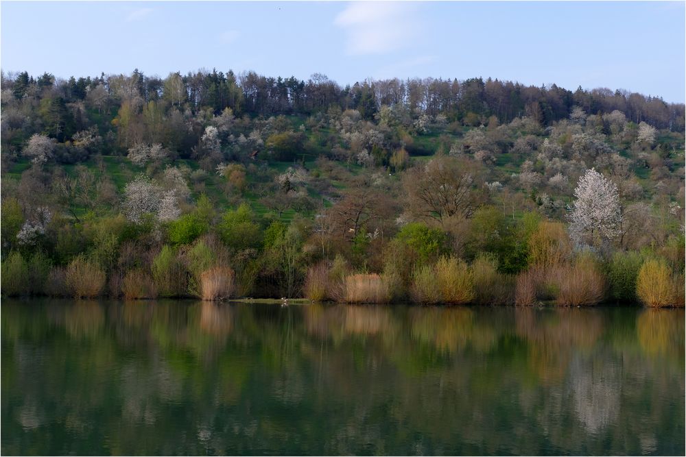 Frühlings-Spiegelei