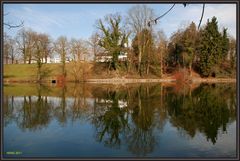 Frühlings Spiegelung im Mühleweiher