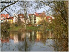 Frühlings-Spiegelungen