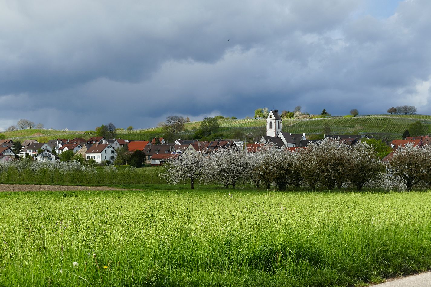 Frühlings-Stimmung im April