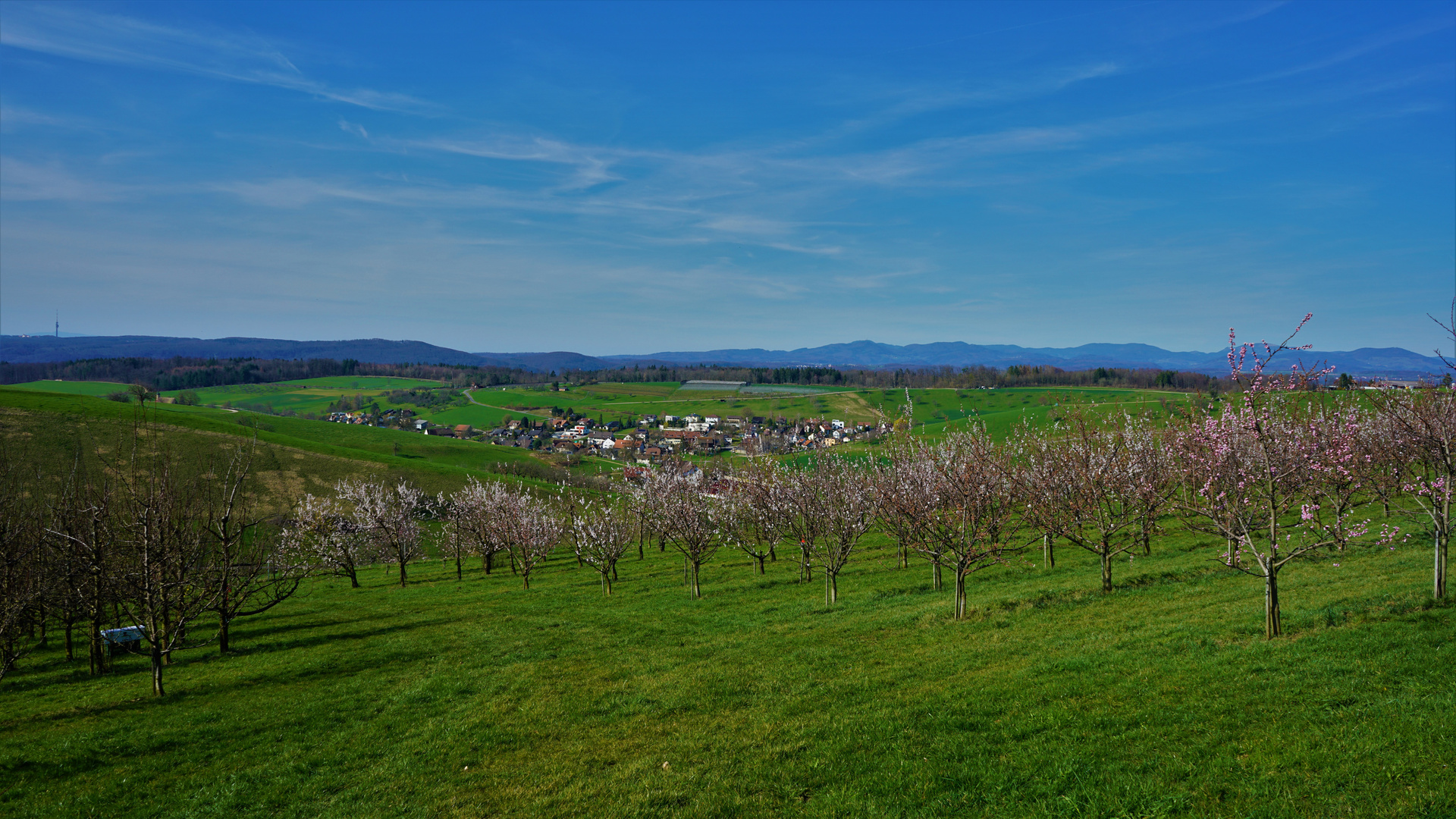 Frühlings Tag 