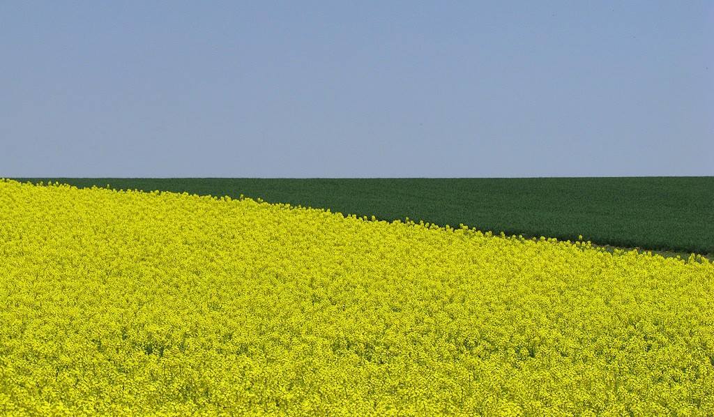 Frühlings-Trikolore