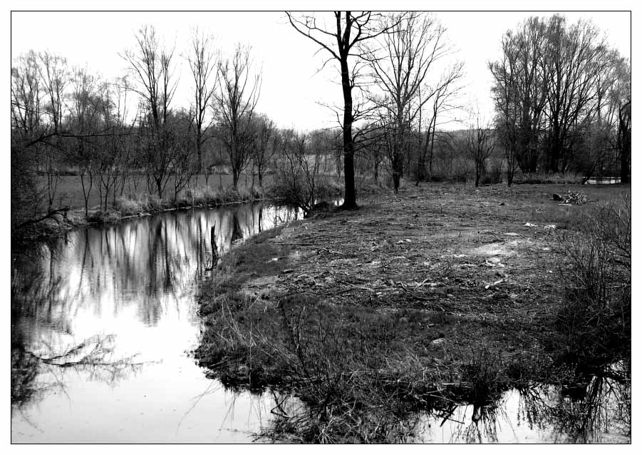 Frühlings Tristesse