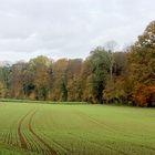 Frühlings- und Herbstfarben .