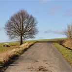 Frühlings - WETTER -2-