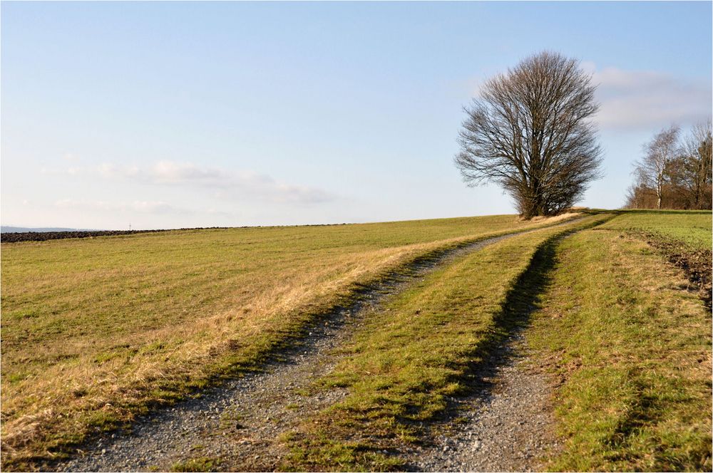 Frühlings - WETTER