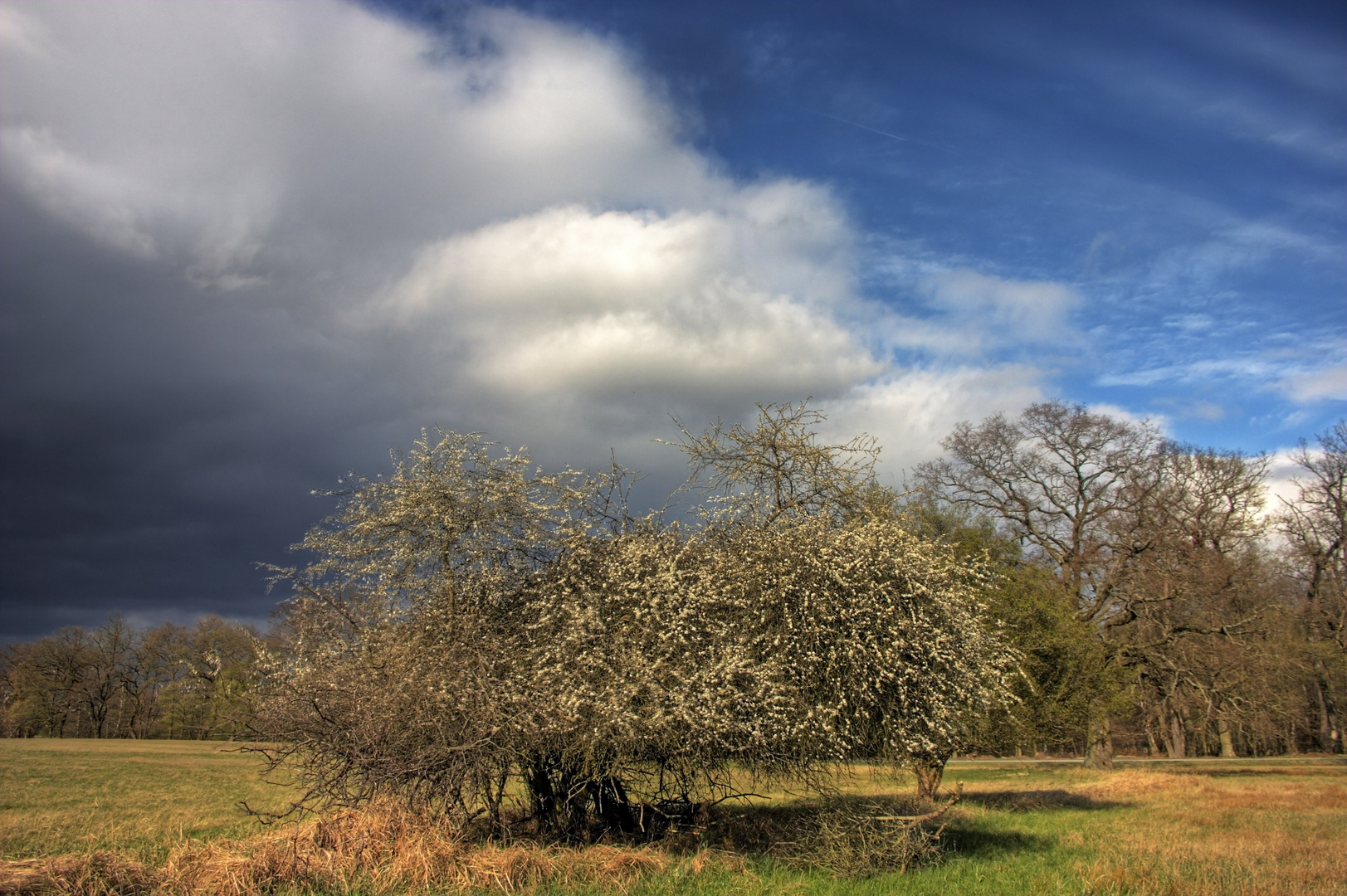 Frühlings-Wetter-Schwankung