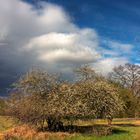 Frühlings-Wetter-Schwankung